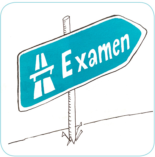 ONLINE-KURSE: Examensklausurenkurs (Besprechung)